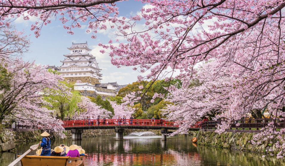 茶器コレクション